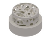 Bone Implant