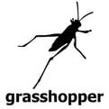 grasshopper